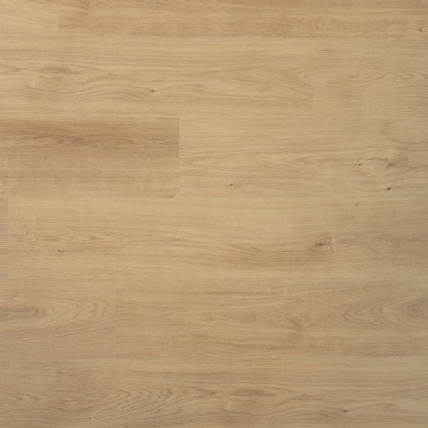 Douwes Dekker Spontaan Plank Nootmuskaat 04953