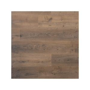 Douwes Dekker Spontaan Plank Dille 04951